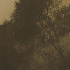Misty Mountain