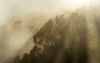 Misty Mountain