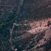 The Canyon