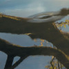 Golden Embrace