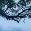 Blue Waters