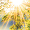 A New Day in Paradise