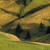 Alpen