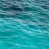 Dreambay