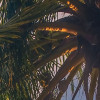 Vertical Paradise