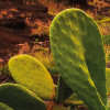 Warmes Licht
