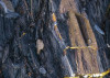 Colors of Earth VII