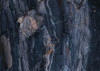Colors of Earth VII