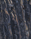 Colors of Earth VII