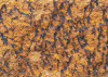 African Wall I