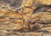 African Wall I