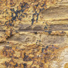 African Wall I