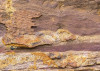 African Wall II