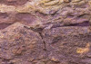 African Wall II