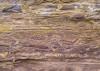African Wall II
