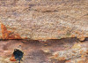 African Wall III