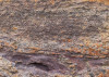 African Wall III