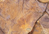 African Wall IV