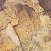African Wall IV