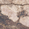 African Wall VII