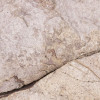 African Wall VII