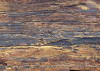 African Wall VIII