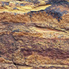 African Wall VIII
