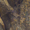 African Wall XII