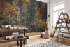 Autumn Cabin