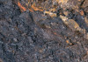 Colors of Earth IV