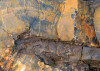 Colors of Earth IV