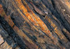 Colors of Earth IV