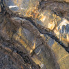 Colors of Earth IV