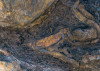 Colors of Earth V