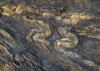Colors of Earth V