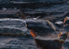 Colors of Earth VI