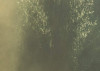 Herbstzauber Detail