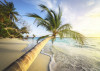 Palm Beach