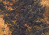 Warm Tones