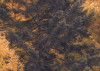 Warm Tones