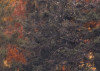 Warm Tones
