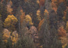 Warm Tones
