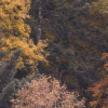 Warm Tones