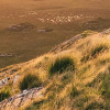 Abenteuerland