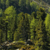 Bergmagie