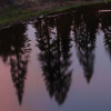 Between the Light