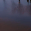 Between the Light