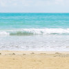 Caribbean Days II