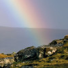 Coloured Faeroer