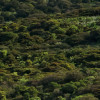 Kuhparadies